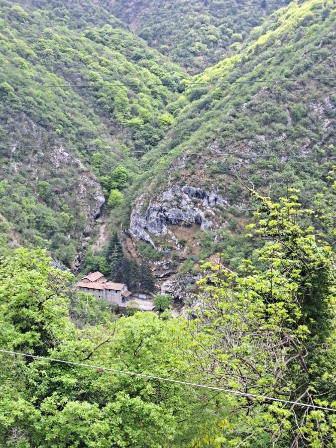 Green & Blue House Valbrona Екстериор снимка